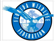 Florida Wildlife  Federation Interactive/Online for Students!